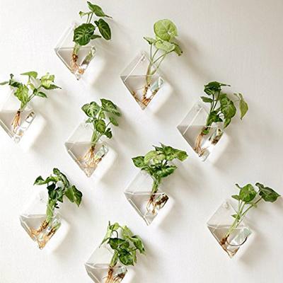 Creative Wall-Hanging Glass Vase for Hydroponic Plants Home Office Decoration Gift