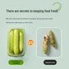 CHAHUA Food Storage Container Set