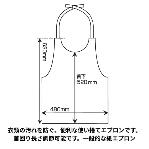 Shimojima Paper Apron SWAN White M