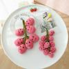 Simulation Summer Black Grape Doll Plush Toy Qingti Hongti Grape Small Pendant Girls Bag Accessories Keychain