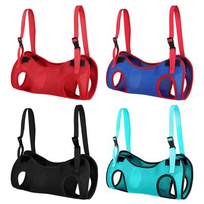 Psi – Obojky a vodítka pro psy