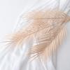Dypsis Artificial Lutescens Palm Leaf Soft Rubber Leaves With Durable Material