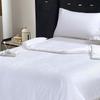 Yalu All-Season Mulberry Silk Quilt