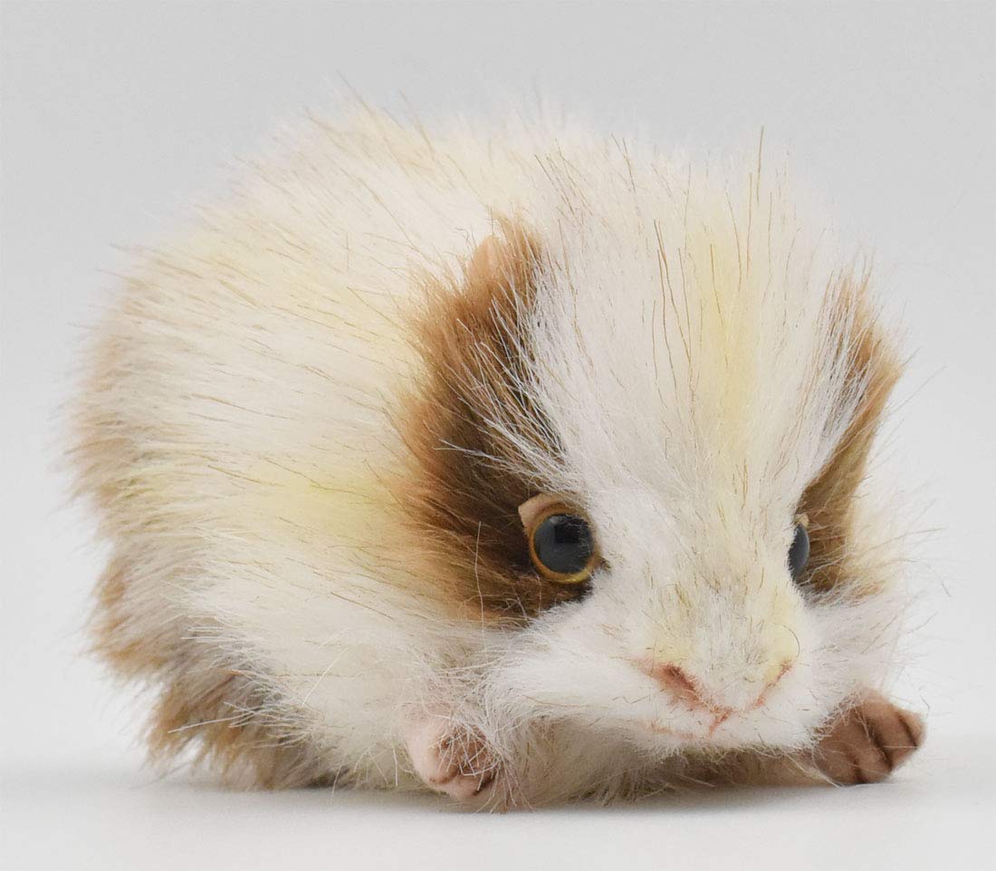 

BH5300 HANSA Морская свинка 15