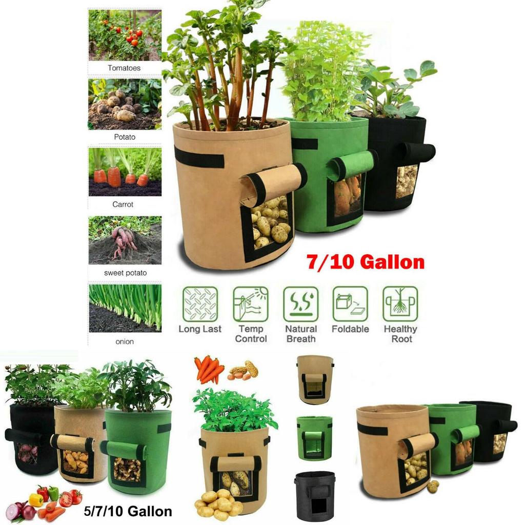 Durable And Reusable 5/7/10 Gallon Vegetable Grow Bags With Convenient Carry Handles