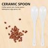 Ceramic Spoons/teaspoons, 5 Pieces/set