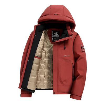 Kapuzenjacke mit weißen Entendaunen Winter Dick Warm Einfacher Mantel Herren Outdoor Lässig Mehrfarbig Größen Verfügbar