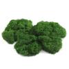 Artificial Moss Turf Landscape Ornament for Bonsai & Potted Plant Decoration