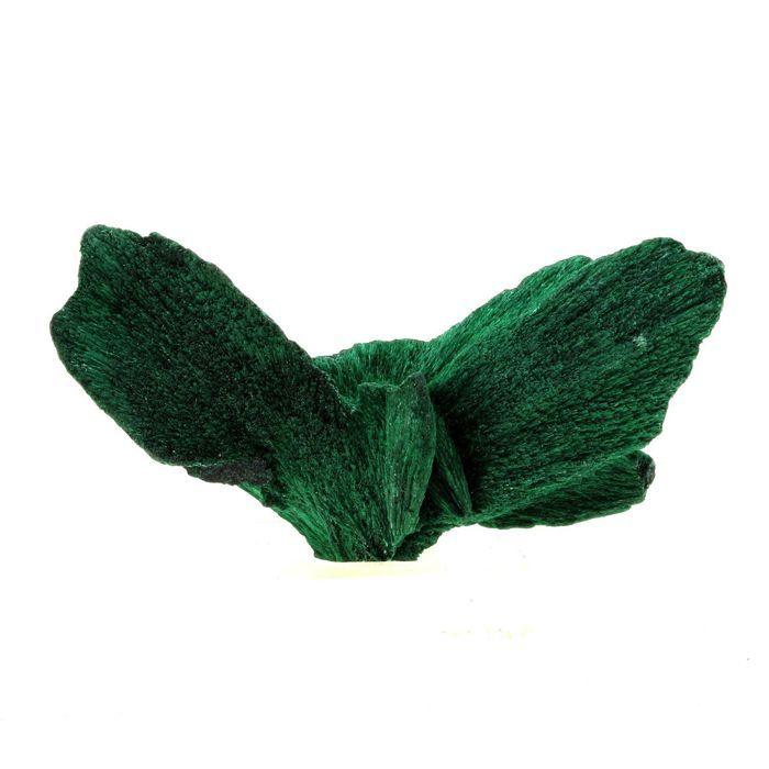 Pierres et Minéraux. Malachite. 104.0 ct. Katanga, Congo.