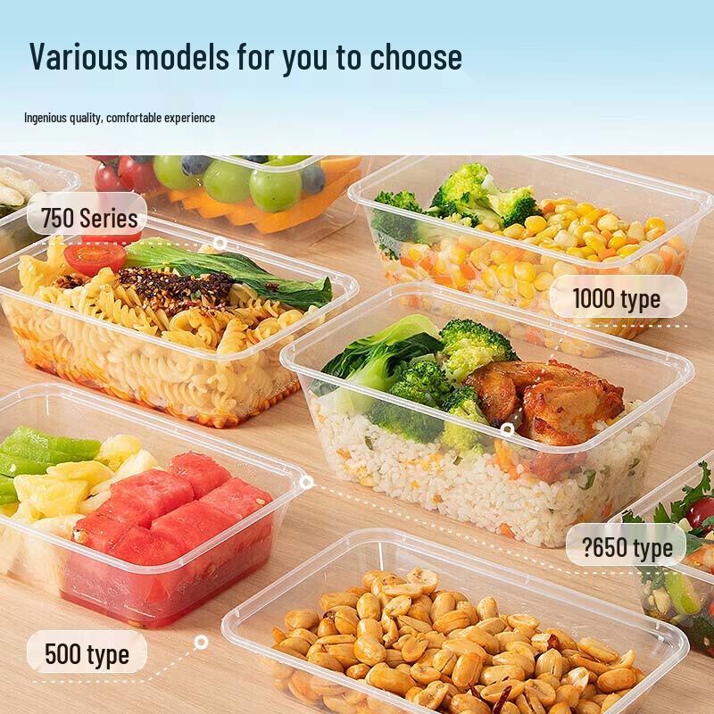 Disposable Rectangular Plastic Food Containers with Lids, 650ml, 300-Pack