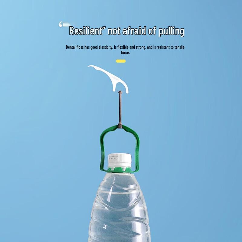 Chahua Portable Smooth Dental Floss Picks