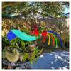 Jardinería y paisajismo – Decoraciones de jardín