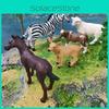 Hochwertige, statische Tierfiguren aus Kunststoff, darunter Zebra, Kuh, Schaf und Fohlen