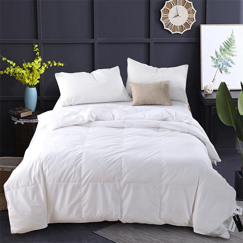 

Playboy HYRB-01 Premium Winter Comforter