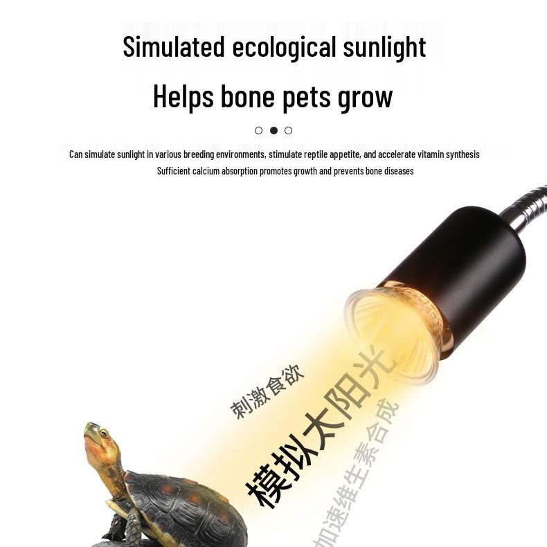 Full Spectrum UVB Heat Lamp for Reptiles - Ideal for Turtles and Lizards