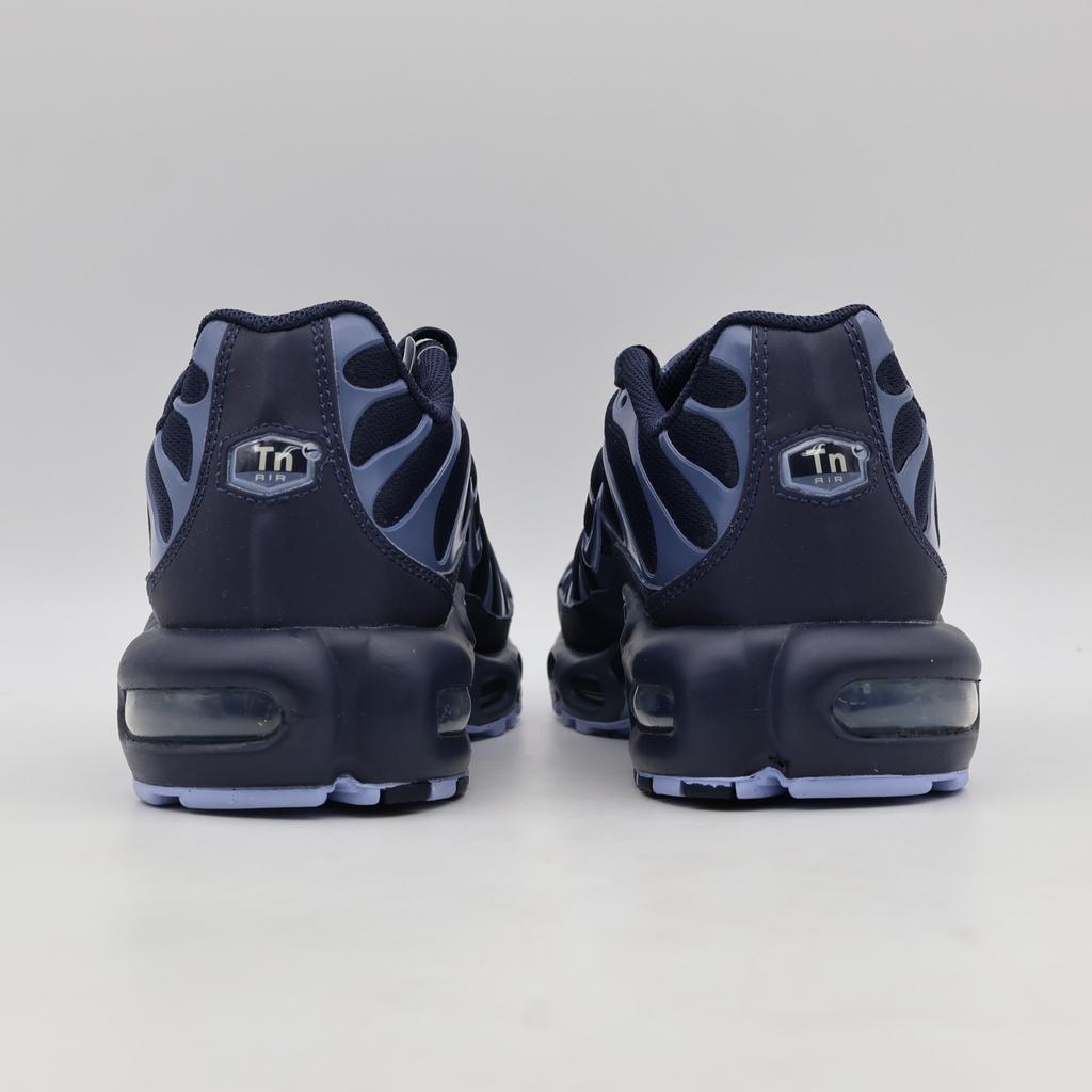 IM6601-451 Nike Air Max Plus Obsidian Aluminum Diffused Blue (Men's)