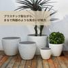 COZENTA Plastic Planter with Drainage Suitable for Houseplants and Vegetables 27cm Outer Holes, (Gray, Round, Diameter)