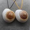 Glowing Seashells Pendant Necklace with Adjustable Rope Chain for Night Parties and Outdoor Event Trendy Women