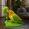 Funny Leaves Shape Bird Perch Stand Wear Resistant with Bells Parrot Play Stands Cactus Bird Playground Stand Play