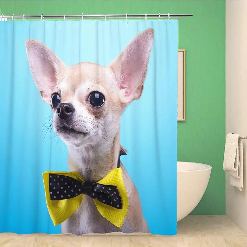 

Chihuahua Dog Shower Curtain, Relaxing and Lying in Wellness Spa Fashion Puppy Comic Fabric Bathroom Decor Sets W90xH180cm