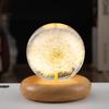 Dandelion Crystal Ball Night Light with Preserved Flower