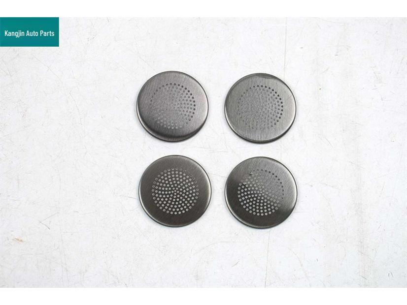 Leopard 25 Model Black Titanium Stainless Steel Front Panel & Door Speaker Covers