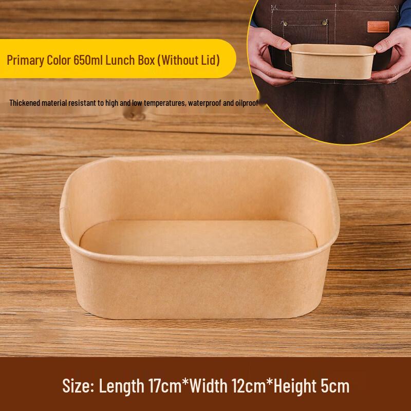 

Disposable Picnic & Bento Box with Lid