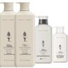 Adolph Repair & Revitalize 4-Piece Hair & Body Care Set