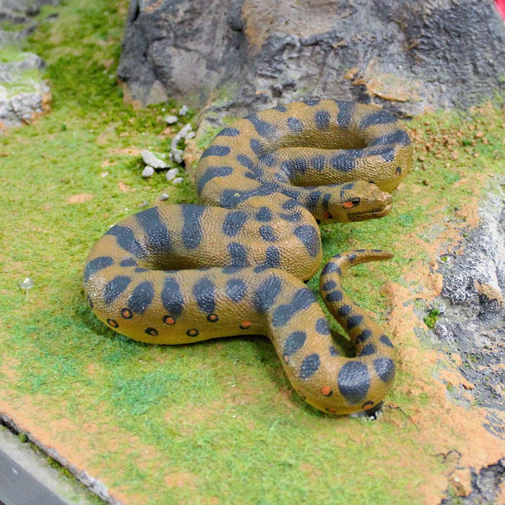 Reptile Simulation Pvc Corallus Enydris Model For Kids Play And Classroom Decor