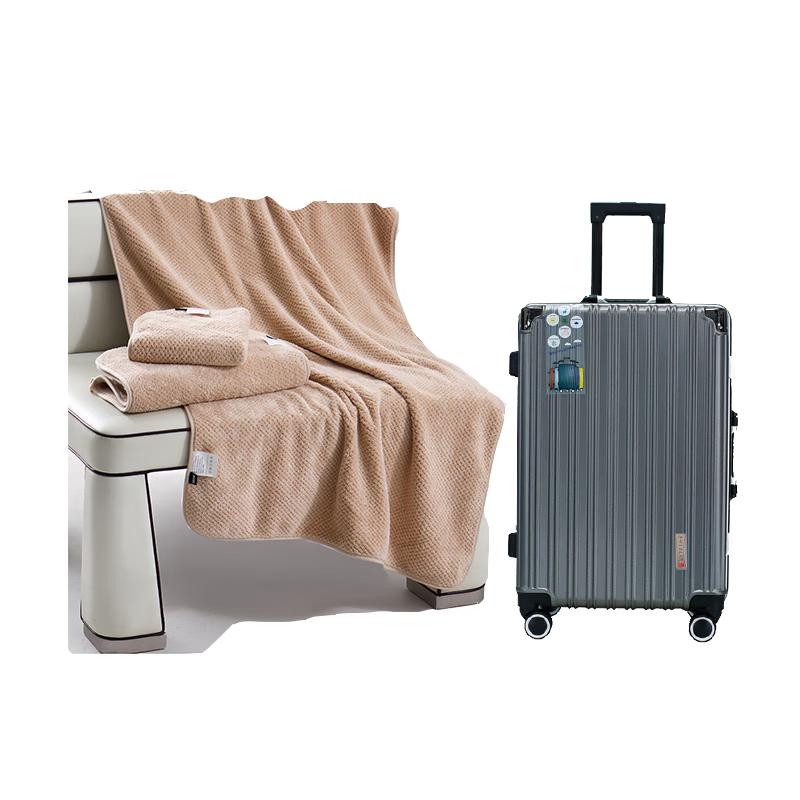 

SWEGEAR 20-inch Aluminum Frame Suitcase with BOSS Towel Blanket Set 20 inch