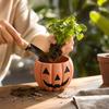 Halloween Pumpkin Face Planter for Indoor Outdoor Fall Decor