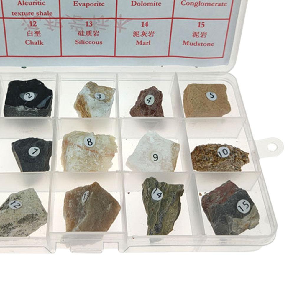 15pcs Sedimentary Rock Real Teaching Aid