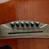 Acoustic Guitar Bridge Pins with Bridge Pin Puller Remover Ebony Acoustic Guitar Bridge Pins Pegs String Nail Remover