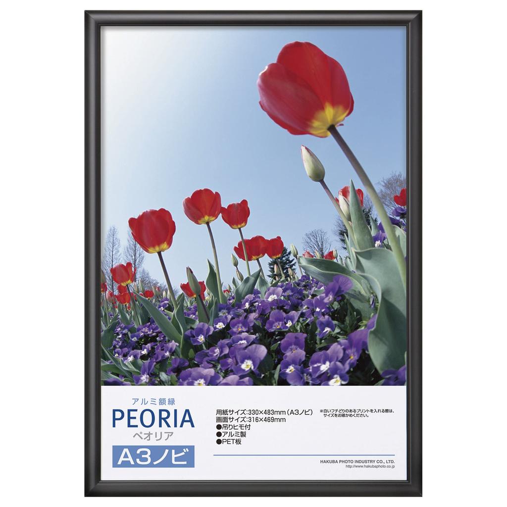HAKUBA Aluminum Frame Peoria A3 Nobi Size Black Poster Frame Photo Frame PET Front Panel with Hanging Cord FAPE-BKA3N
