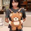 Cartoon Bear Bag Plush Toy Doll Teddy Bear Doll Girl Backpack Messenger Bag Soothing Rag Doll