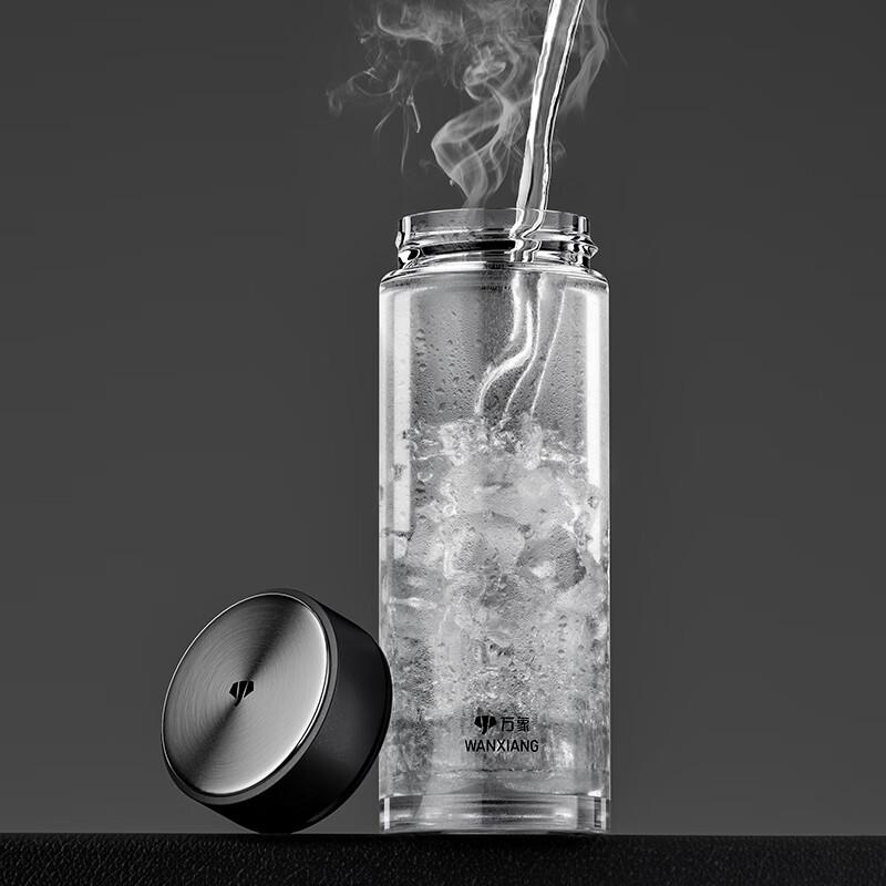 WANXIANG Portable Glass Tea Infuser Bottle