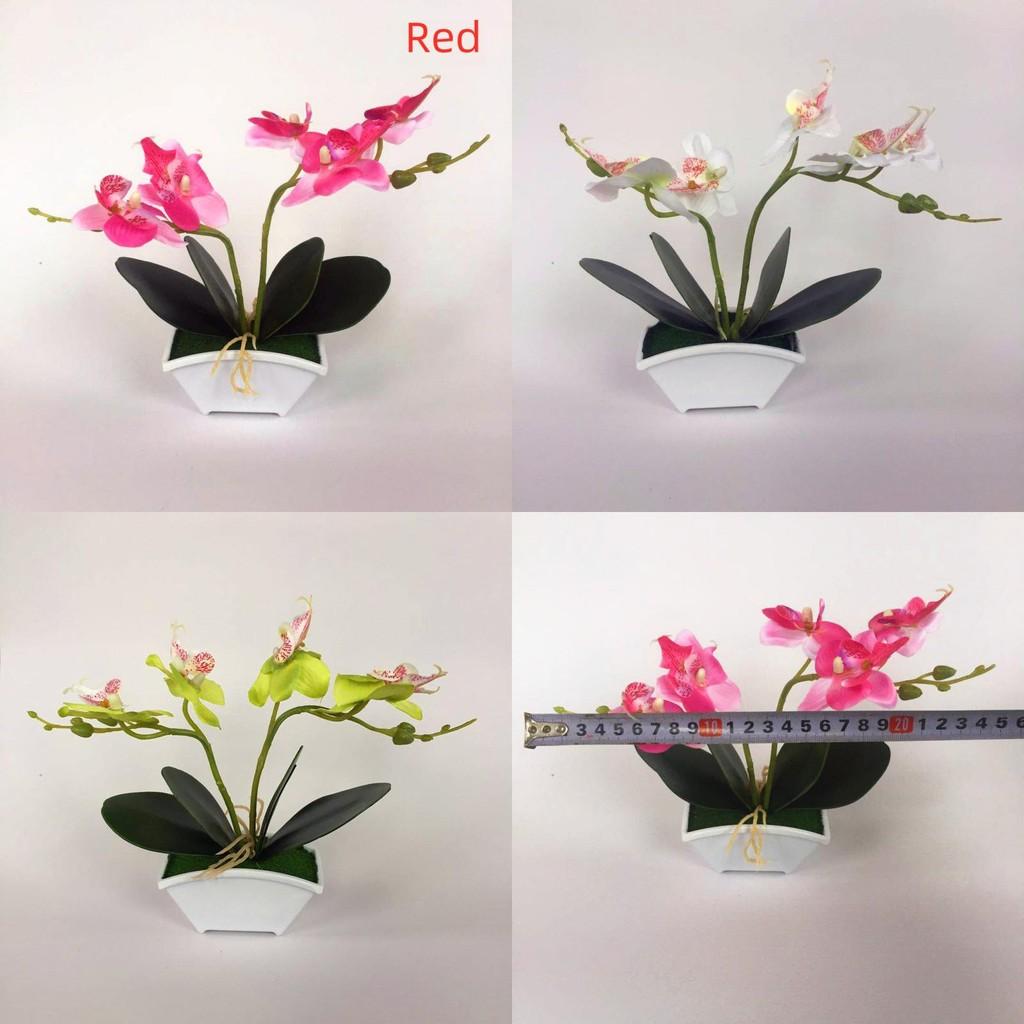 Green Phalaenopsis Faux Plant Bonsai Ornaments For Home Office Special Occasion