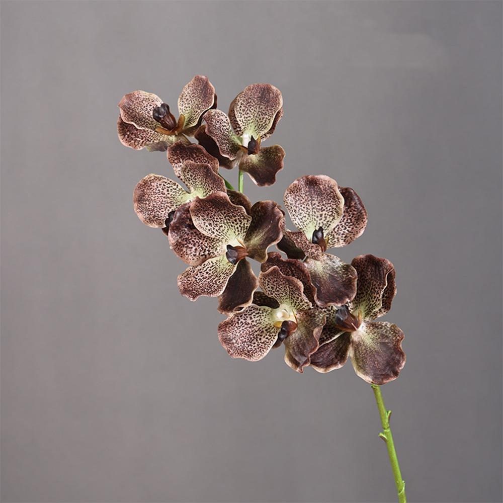 Plastic Phalaenopsis Branch Moisturizing Real Touch Orchids Simulation Flower  Office Decor