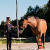 Pferdehuf-Einweichstiefel Pflegebeutel Wasserdichter Einweicher für Pferdehufpflege Stall Training Verletzungsheilung