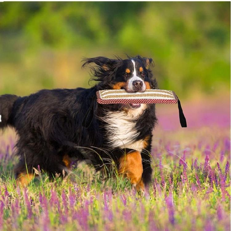 Durablity and Tear Resistant Dogs Training Chew Toy for Indoor Outdoor Play