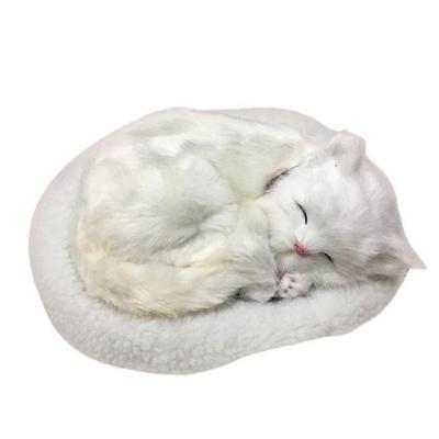 Bebek ve Peluş Oyuncaklar – Doldurulmuş ve Peluş oyuncak hayvanlar