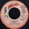 7inch Record CHAKA DEMUS  PLIERS  SPANNER BANN  A Little Love SW0008 Sweet Angel 1998 Jamaica Reggae Ska  Dub Used