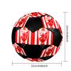 SIZE 5 Red Star Belgrade Soccer Ball Colorful All Ages Machine Stitched PVC Competition Ready Durable High-Bounce