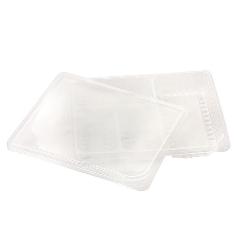Disposable Partitioned Takeaway Container with Lid