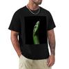 Snake Profile TShirt Anime Shirt Basketball Graphic Tees Heavy Weight T Shirts for Men