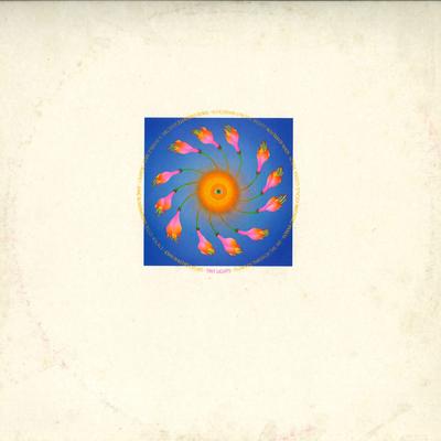 12inch Record TINY LIGHTS - Flowers Through The Air TOPY008 Temple Records 1985 UK Rock Used