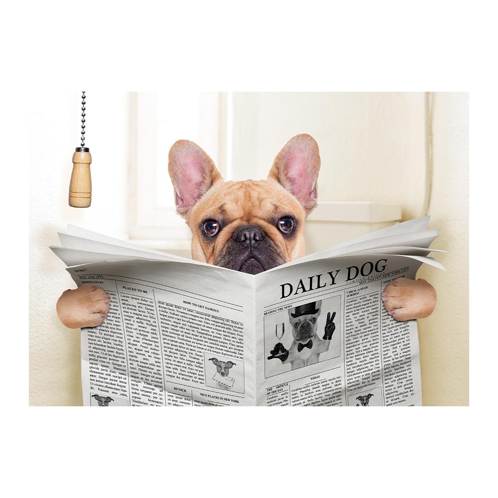 Dog Reading Newspaper Toilet Wall Art Canvas Prints Funny Dog Painting Wall Picture Home Bathroom Decor Dogs Lover Gift