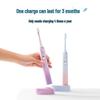 Flyco FT7105 Sonic Electric Toothbrush CN Plug (adapter Included)