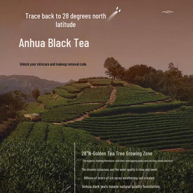 BEAUTY NOTES Black Tea 3-in-1 Makeup Remover Oil