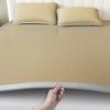 Yongyouwan Simple Solid Color Antibacterial Ice Silk Mat Bed Sheet